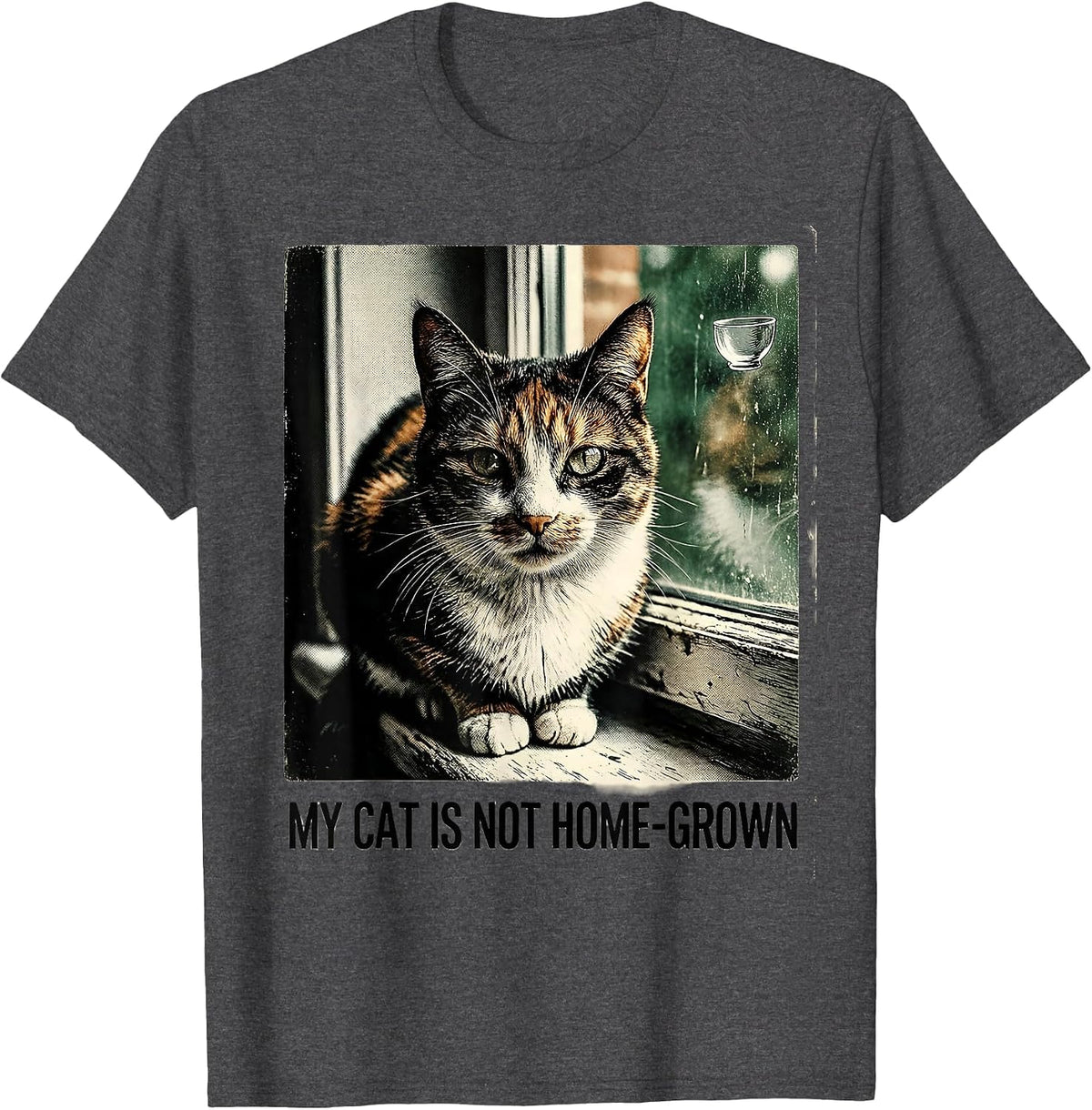 My Cat Is Not Home-Grown Vintage Funny Cat UFO Meme Gift T-Shirt - Dark Heather Grey
