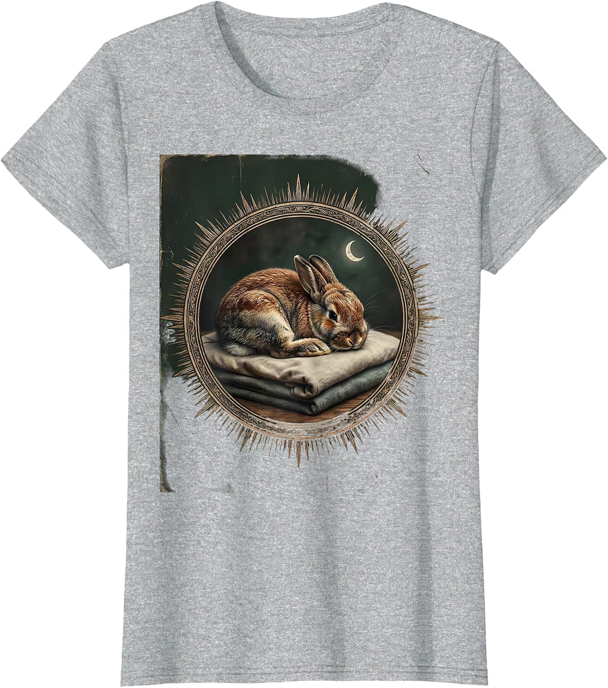 Women's Sleeping Holland Lop Vintage Pet Lover Cozy T-Shirt - Heather Grey