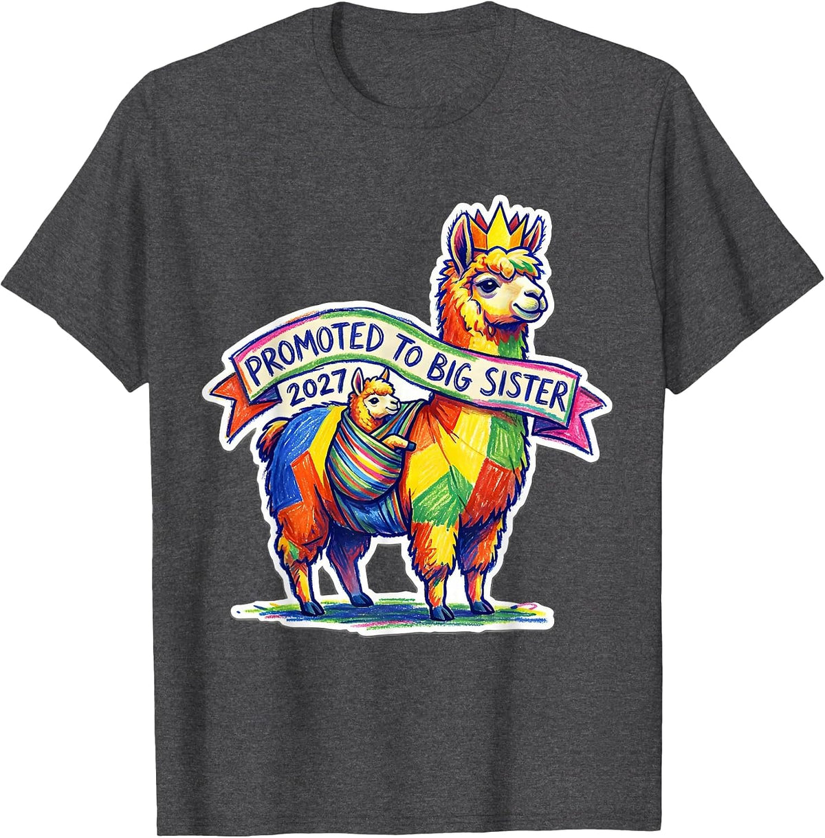 Promoted To Big Sister 2027 Funny Sibling Gift Novelty T-Shirt - Dark Heather Grey