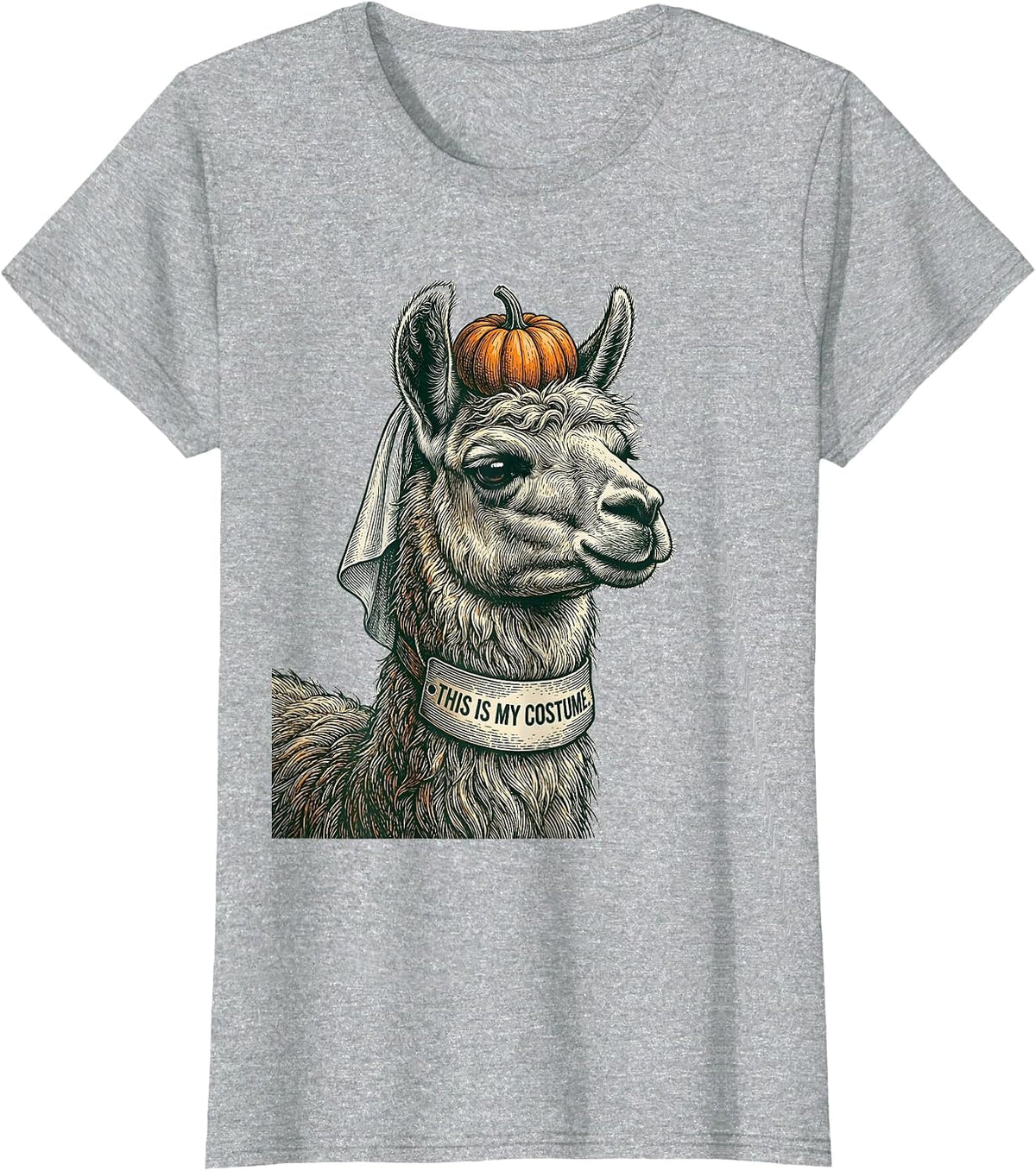 Women's This Is My Costume Funny Llama Halloween Party Novelty Humor T-Shirt - Heather Grey