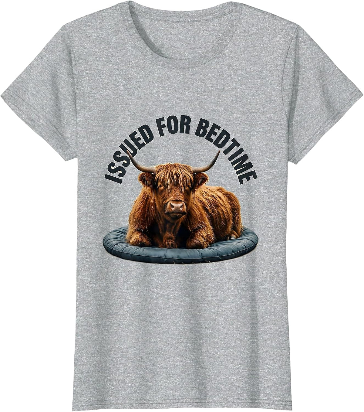 Issued For Bedtime Funny Highland Cow Pajama Nightshirt Gift T-Shirt - Heather Grey
