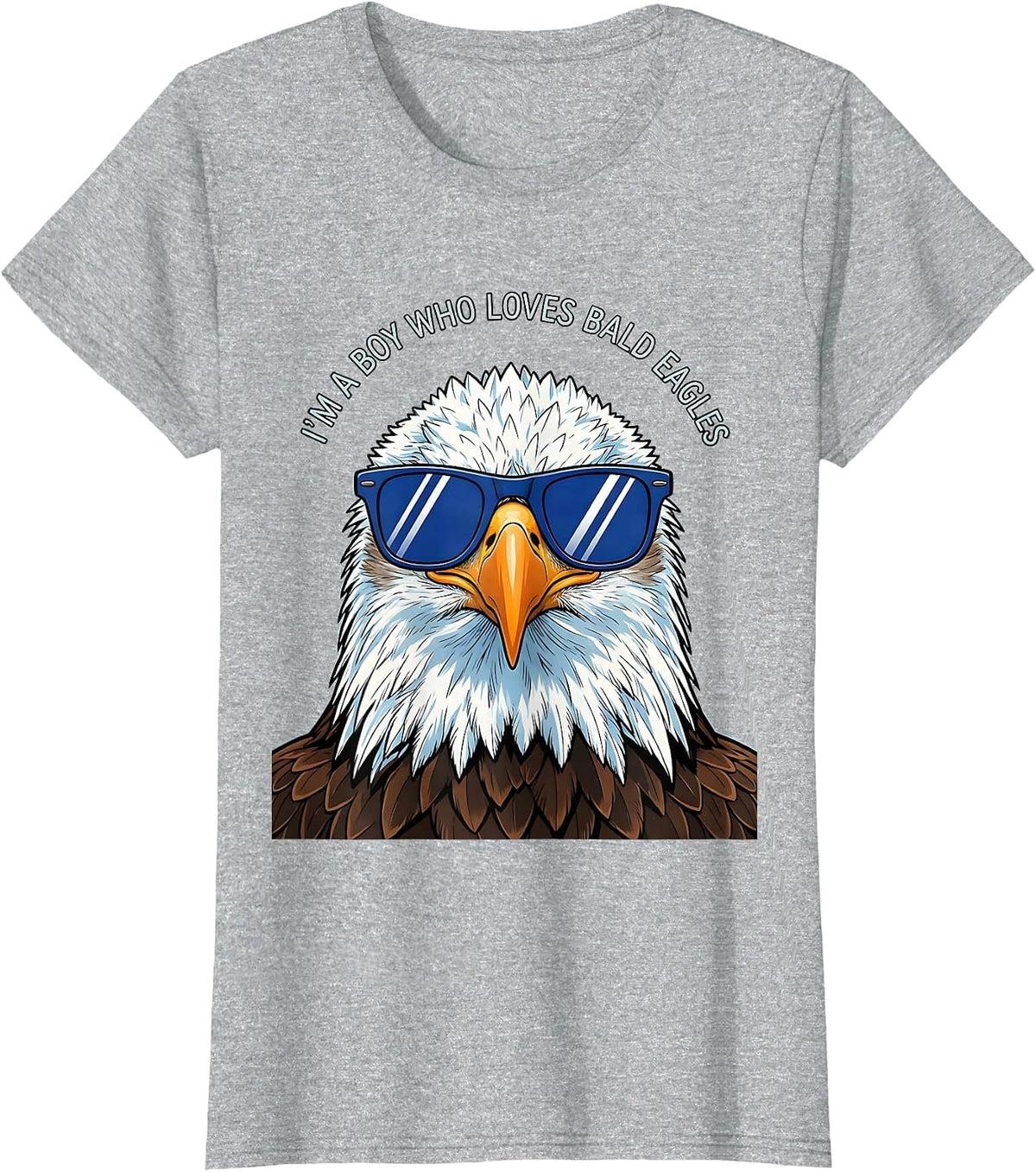 I'm A Boy Who Loves Bald Eagles Funny Bird Lover Humor T-Shirt - Heather Grey