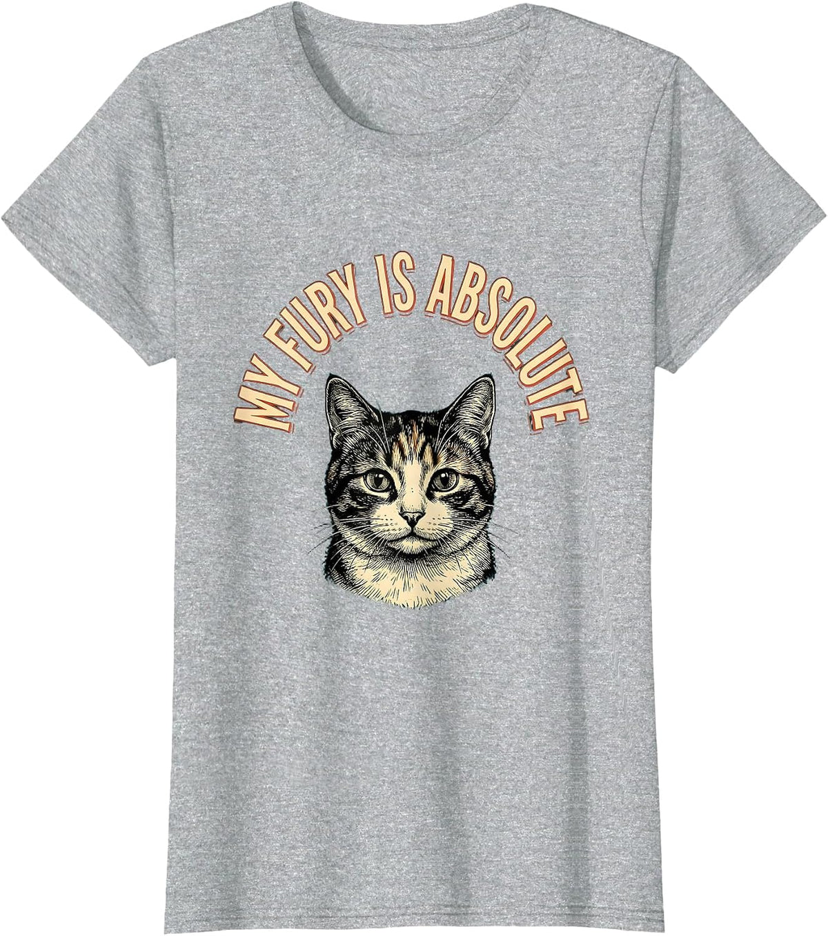 My Fury Is Absolute Funny Cat Meme Sarcastic Humor T-Shirt - Heather Grey