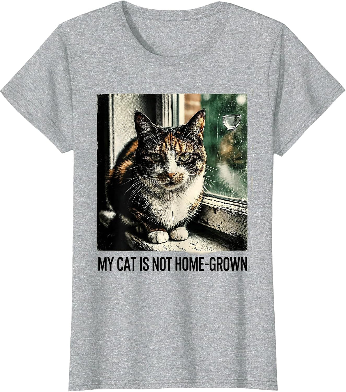 My Cat Is Not Home-Grown Vintage Funny Cat UFO Meme Gift T-Shirt - Heather Grey