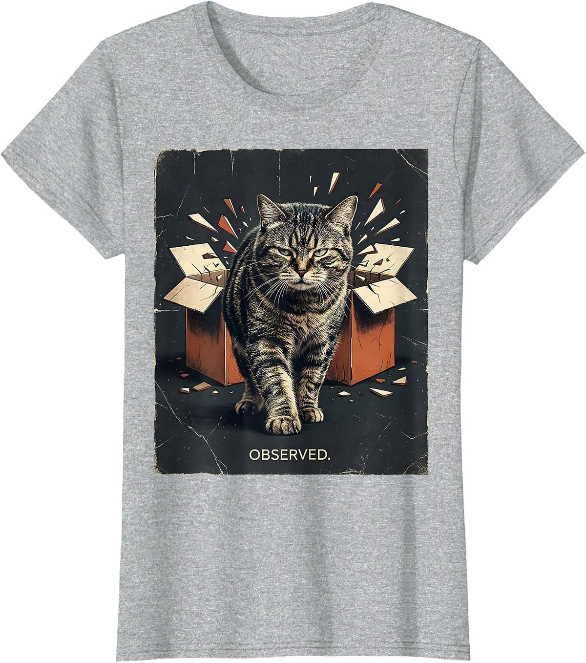 Unimpressed Cat Distressed Quantum Physics Humor T-Shirt - Heather Grey