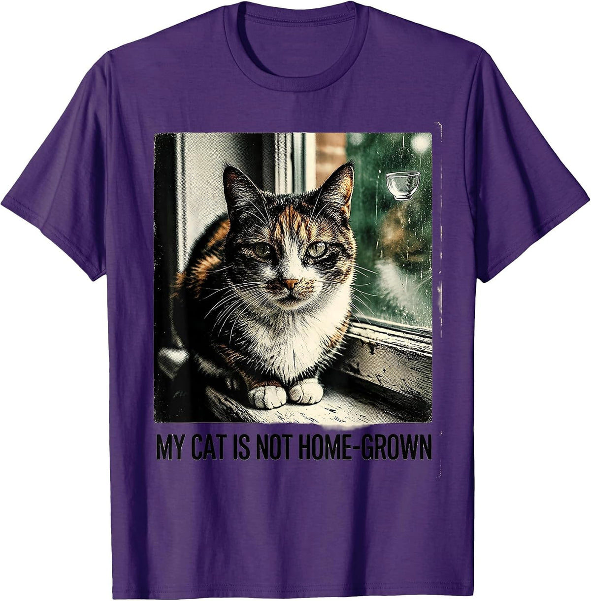 My Cat Is Not Home-Grown Vintage Funny Cat UFO Meme Gift T-Shirt - Purple