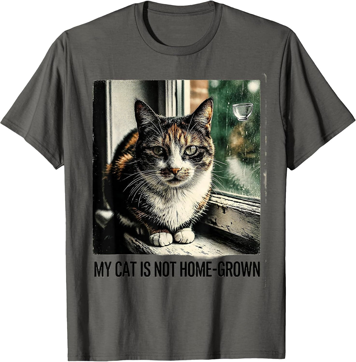My Cat Is Not Home-Grown Vintage Funny Cat UFO Meme Gift T-Shirt - Asphalt Grey