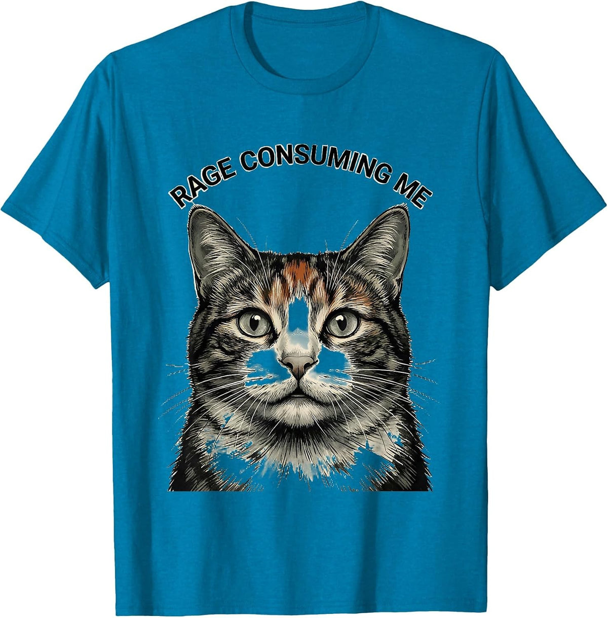 Rage Consuming Me Funny Cat Meme Silly Staring Cat Lover T-Shirt - Sapphire Blue
