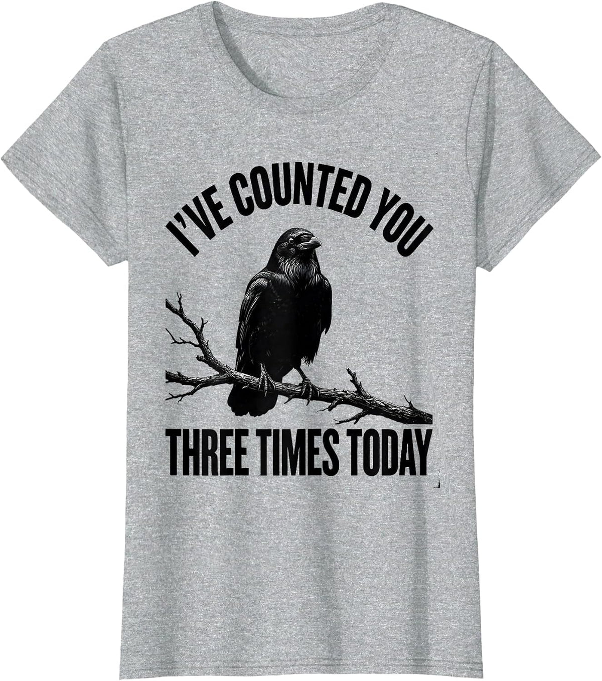 Women's I've Counted You Three Times Today Dark Humor Gothic Crow T-Shirt - Heather Grey