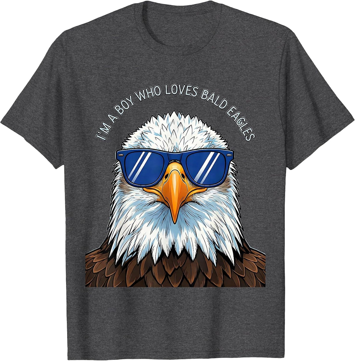 I'm A Boy Who Loves Bald Eagles Funny Bird Lover Humor T-Shirt - Dark Heather Grey