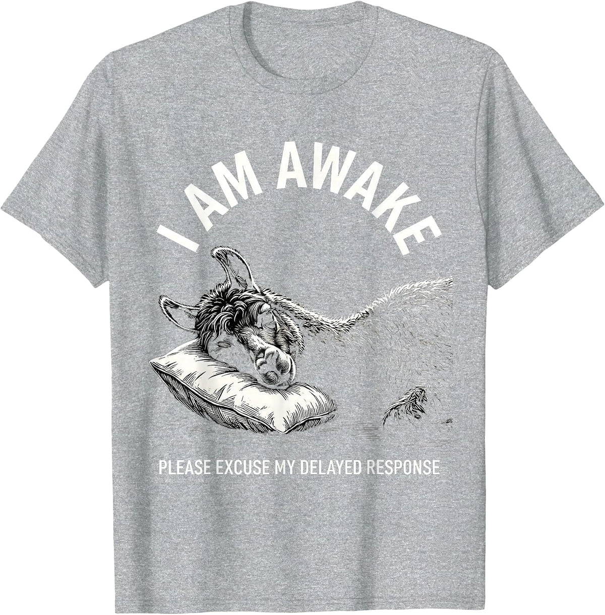 Men's I Am Awake Please Excuse My Delayed Response Funny T-Shirt - Heather Grey