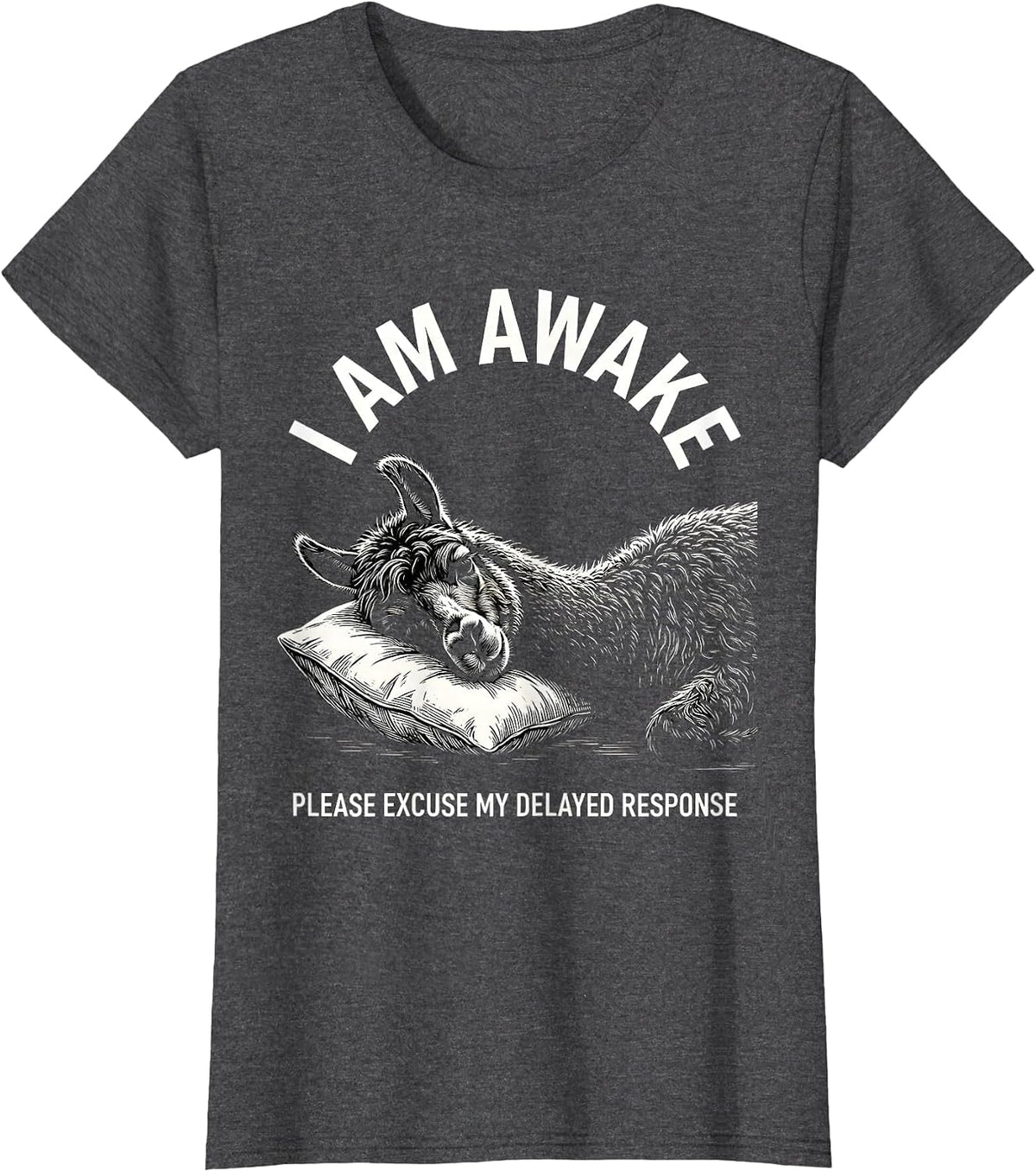 Women's I Am Awake Please Excuse My Delayed Response Funny T-Shirt - Dark Heather Grey