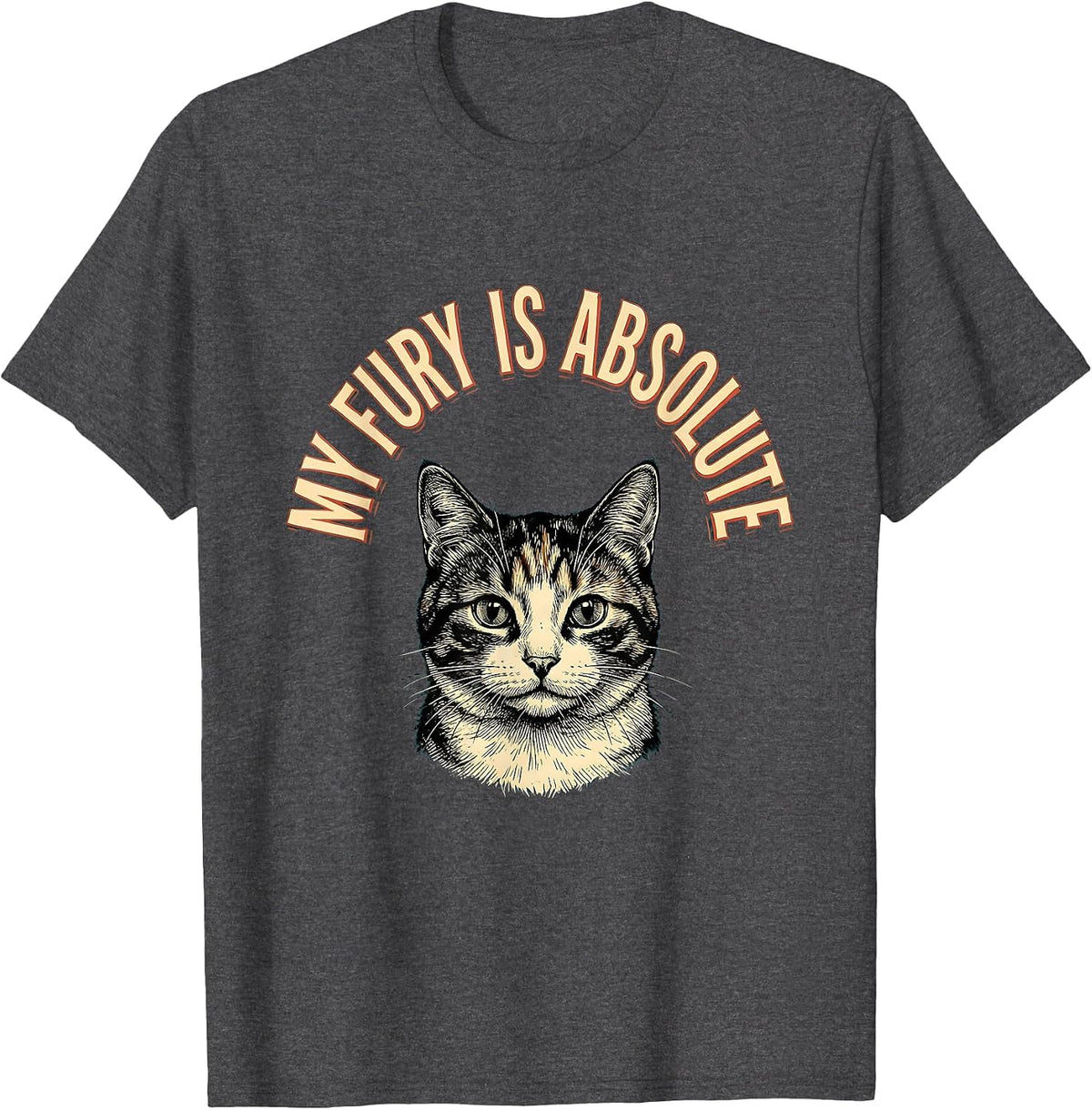 My Fury Is Absolute Funny Cat Meme Sarcastic Humor T-Shirt - Dark Heather Grey