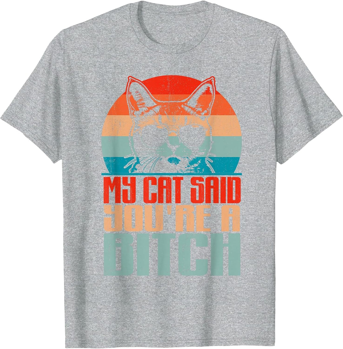 Retro My Cat Said You're a Bitch Funny Cat Lover Sarcastic T-Shirt - Heather Grey