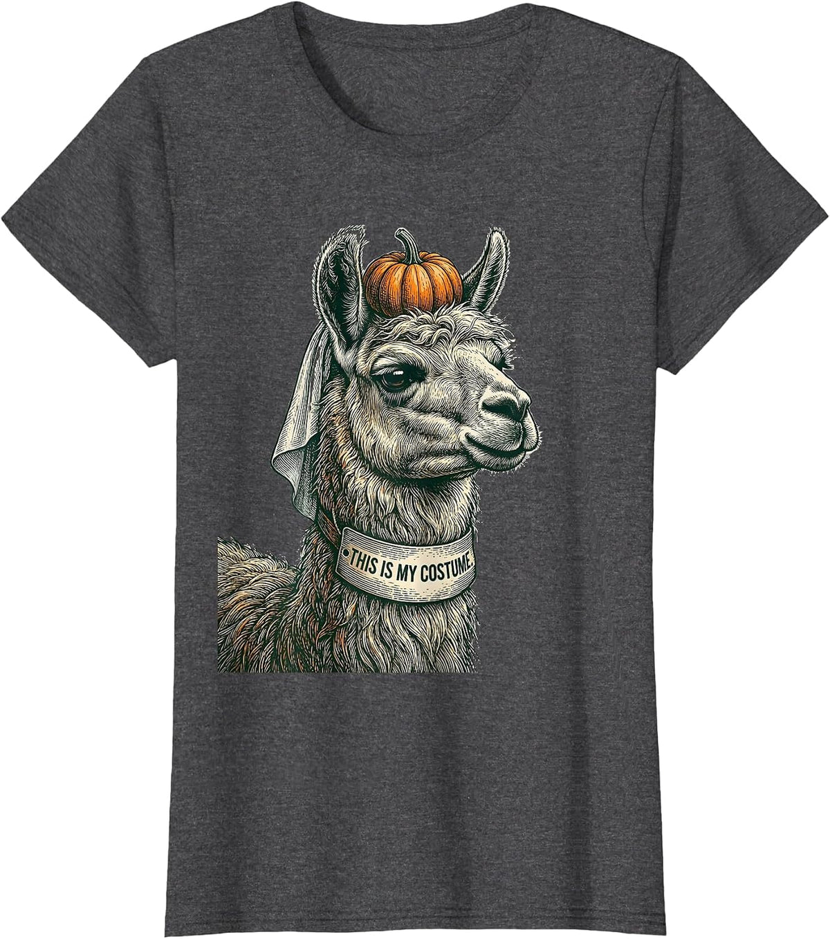 Women's This Is My Costume Funny Llama Halloween Party Novelty Humor T-Shirt - Dark Heather Grey