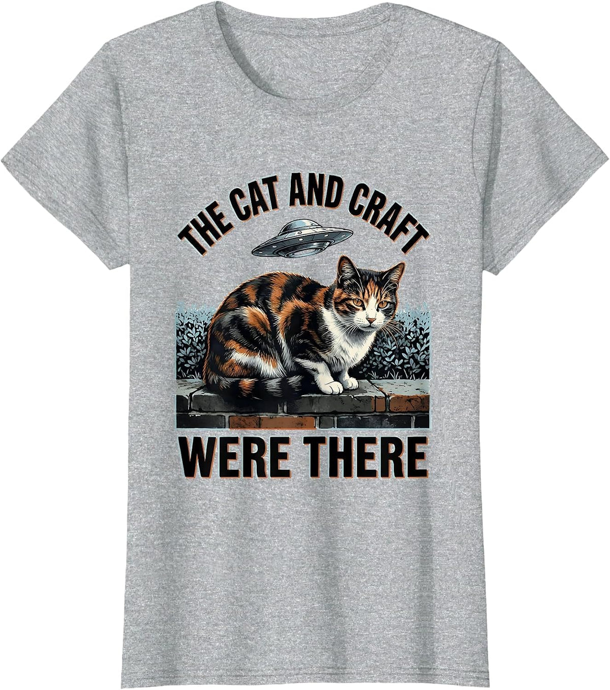 The Cat And Craft Were There Funny Alien UFO Cat Meme T-Shirt - Heather Grey