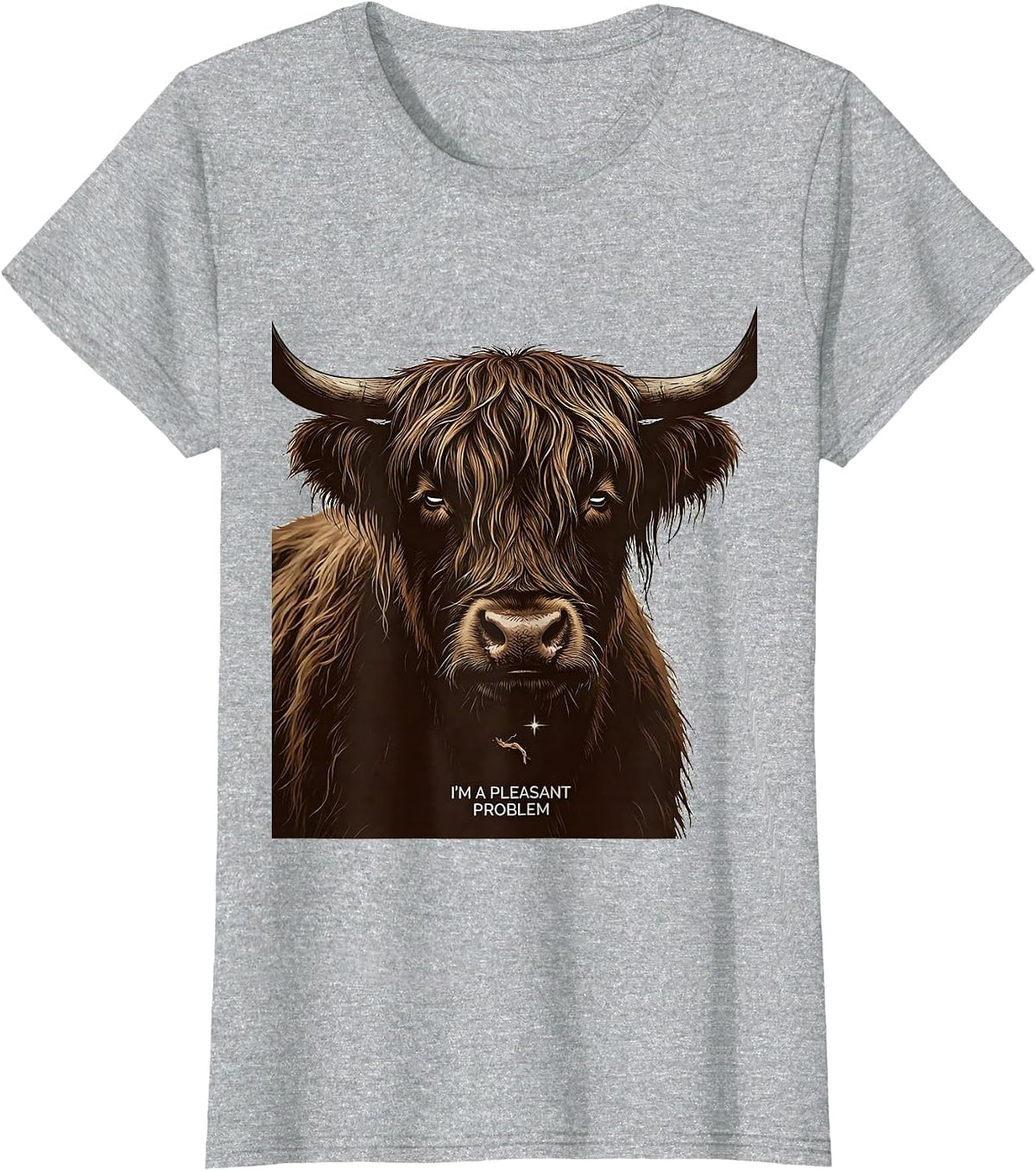 I'm A Pleasant Problem Funny Highland Cow Novelty Animal T-Shirt - Heather Grey