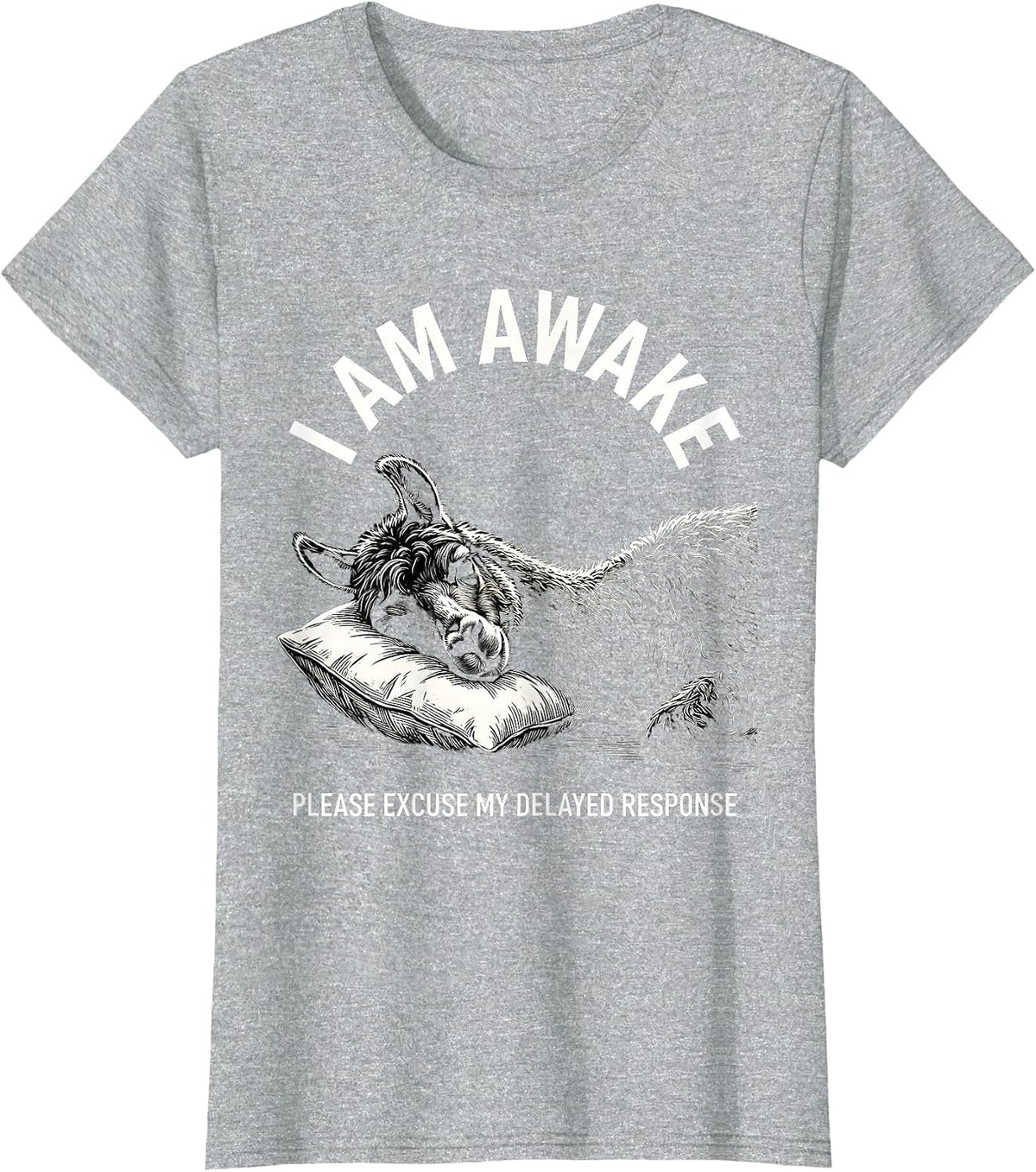 Women's I Am Awake Please Excuse My Delayed Response Funny T-Shirt - Heather Grey