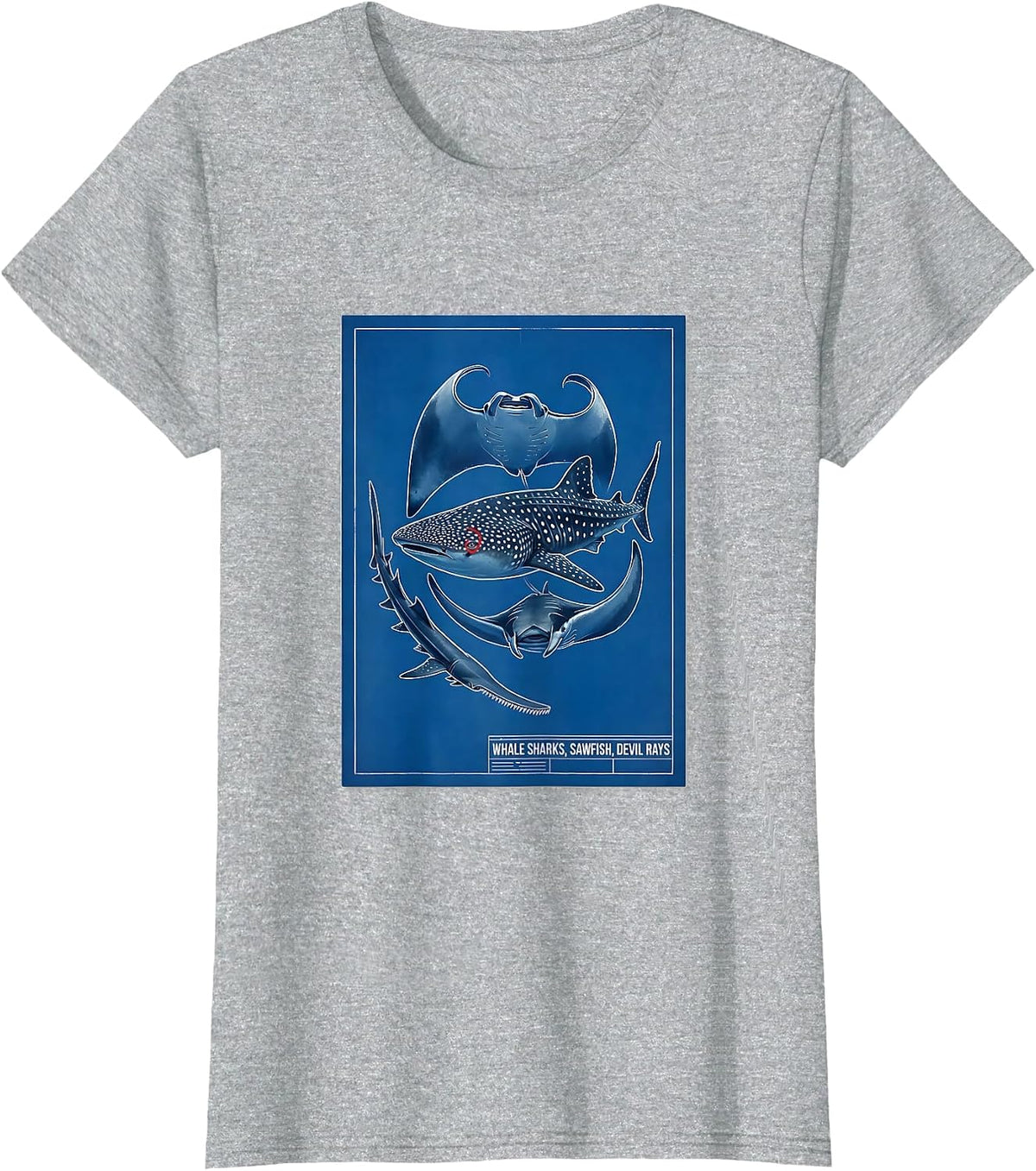 Whale Sharks Sawfish Devil Rays Technical Blueprint Marine T-Shirt - Heather Grey