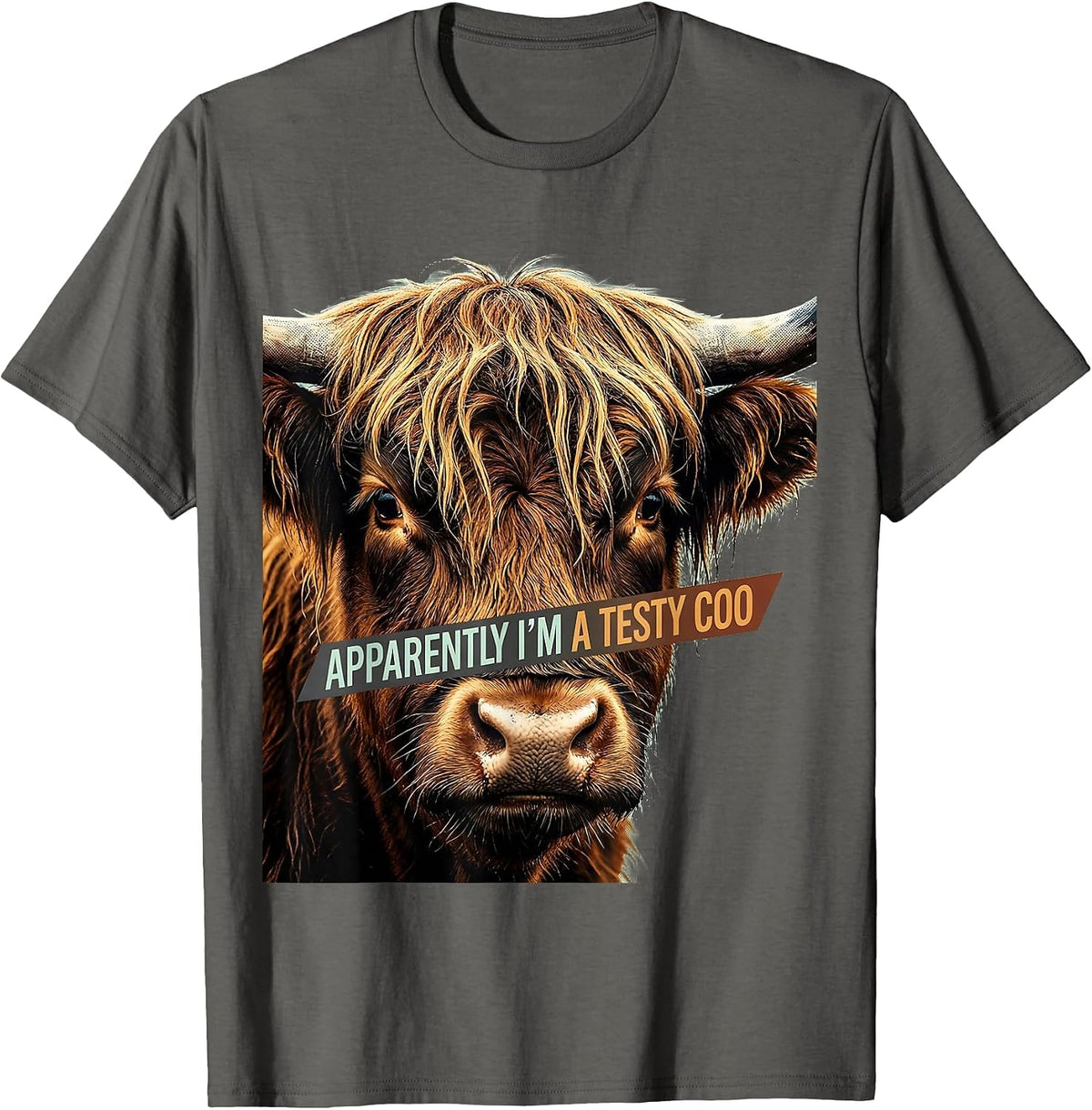 Apparently I’m A Testy Coo Funny Highland Cow Character T-Shirt - Asphalt Grey