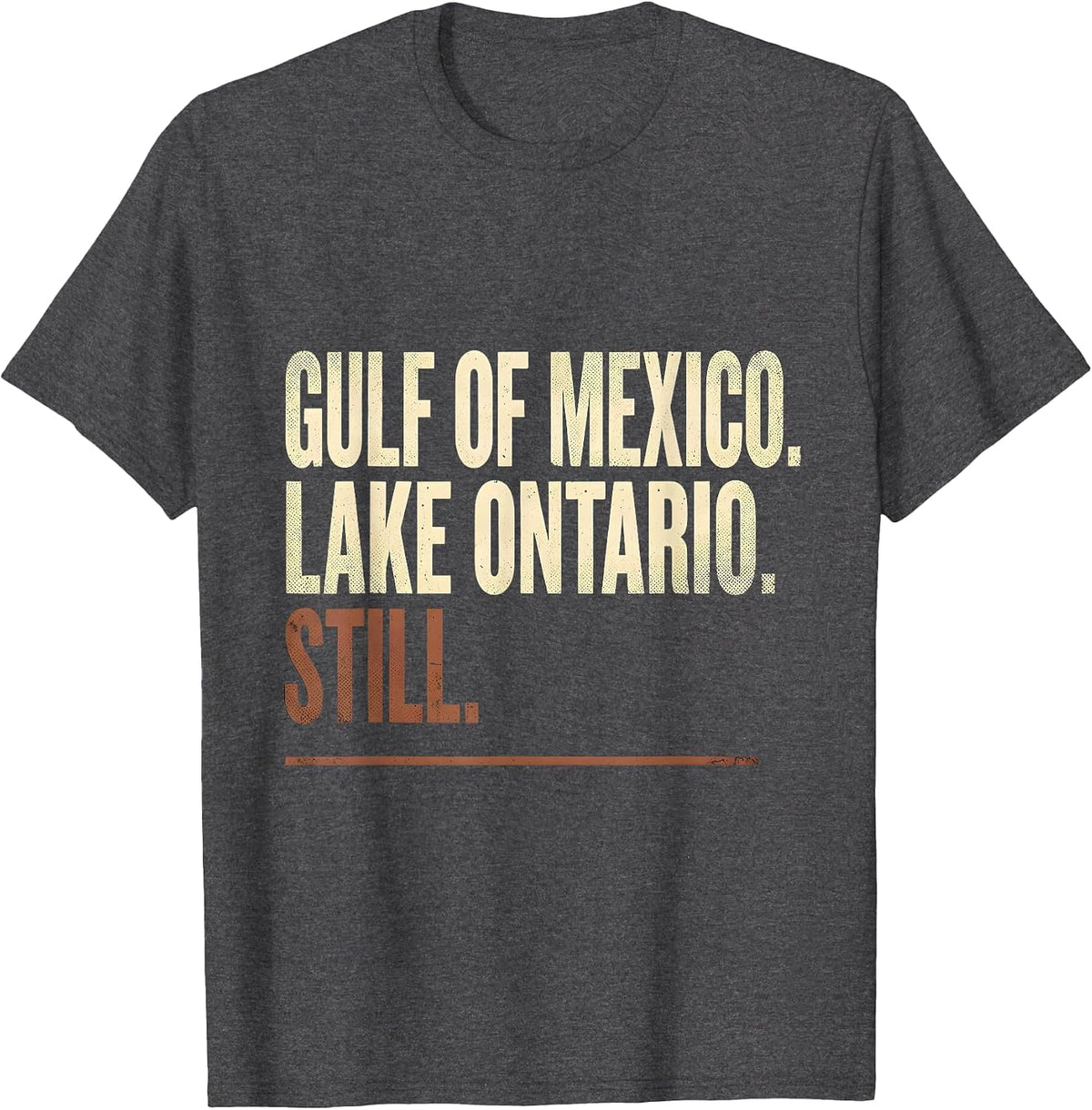 Gulf of Mexico Lake Ontario Still Distressed Political T-Shirt - Dark Heather Grey