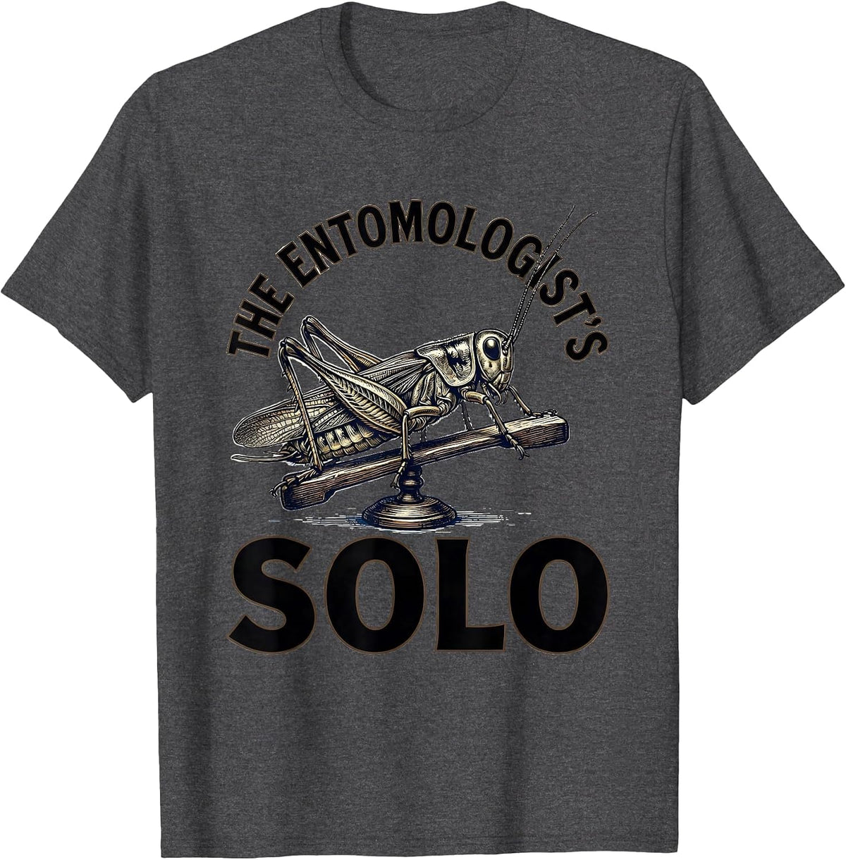 The Entomologist's Solo Vintage Entomology Bug Music Lover T-Shirt - Dark Heather Grey