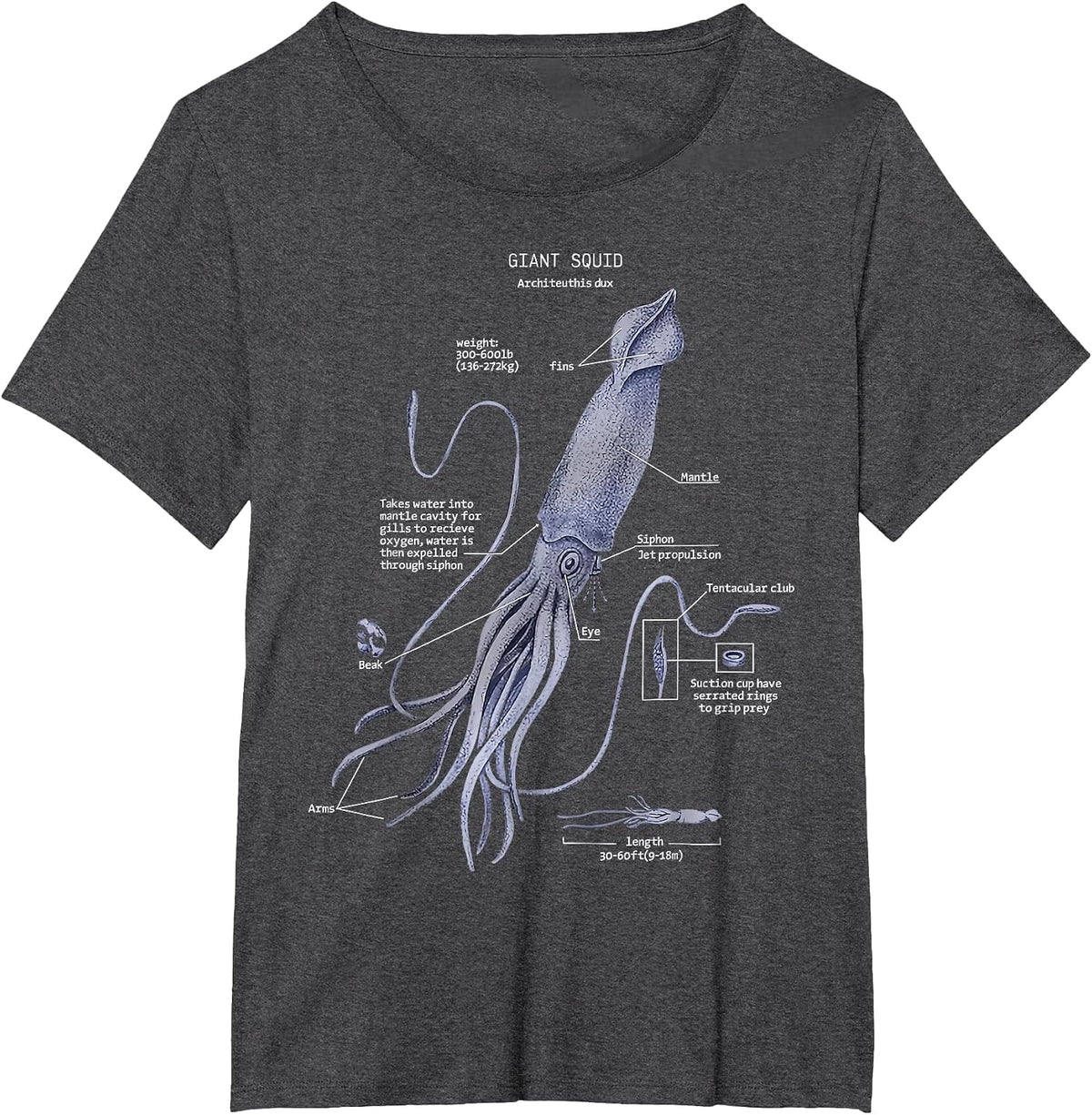 Giant Squid Anatomy Marine Biology T-Shirt - Dark Heather Grey