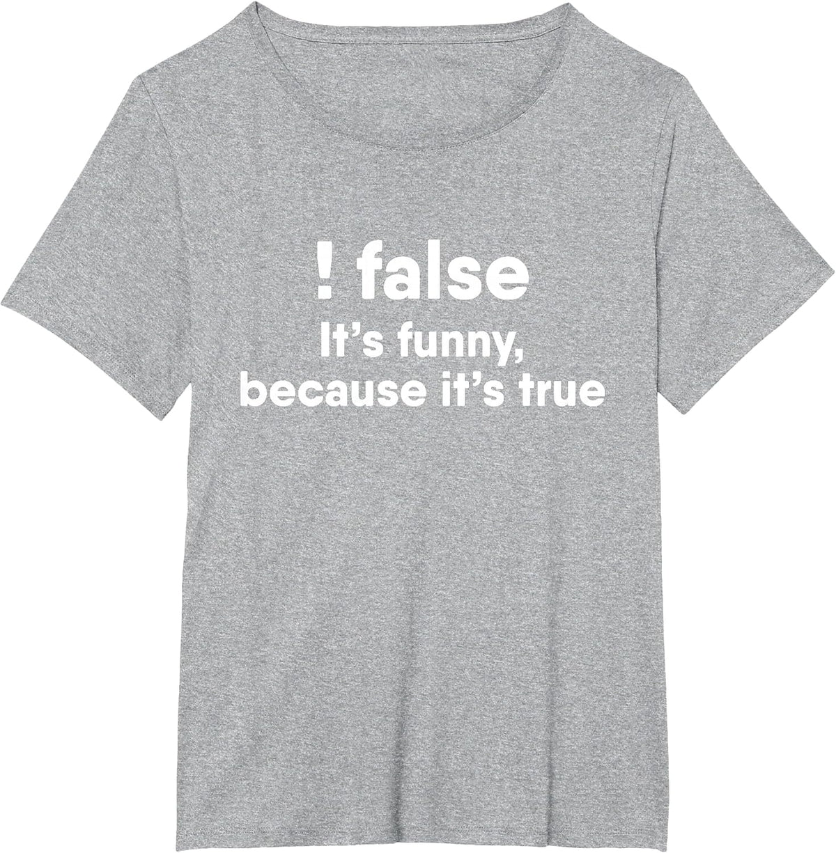 ! False Funny Because It's True Programmer T-Shirt - Heather Grey