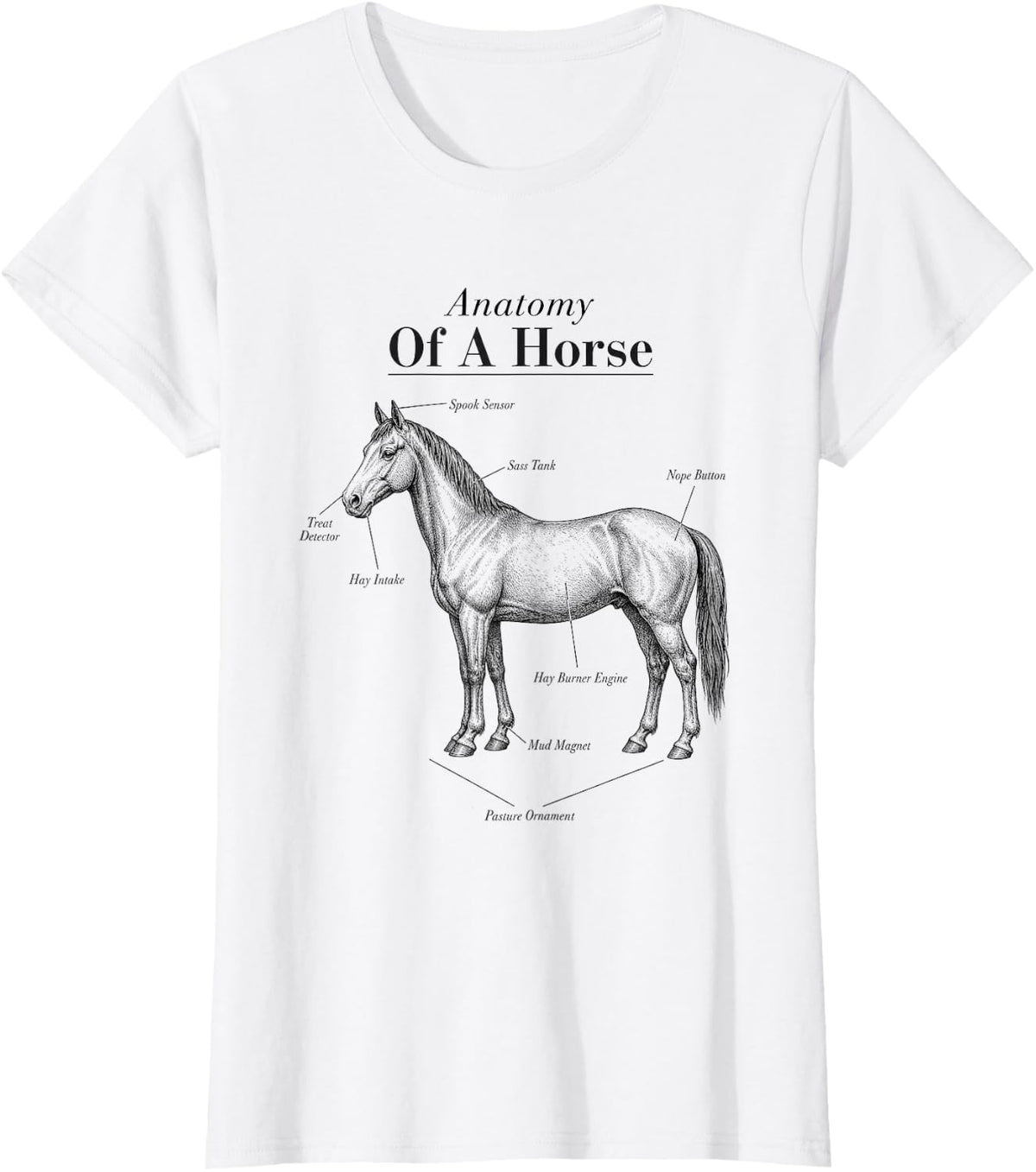 Anatomy of a Horse Funny Horse Lover Equestrian T-Shirt - White
