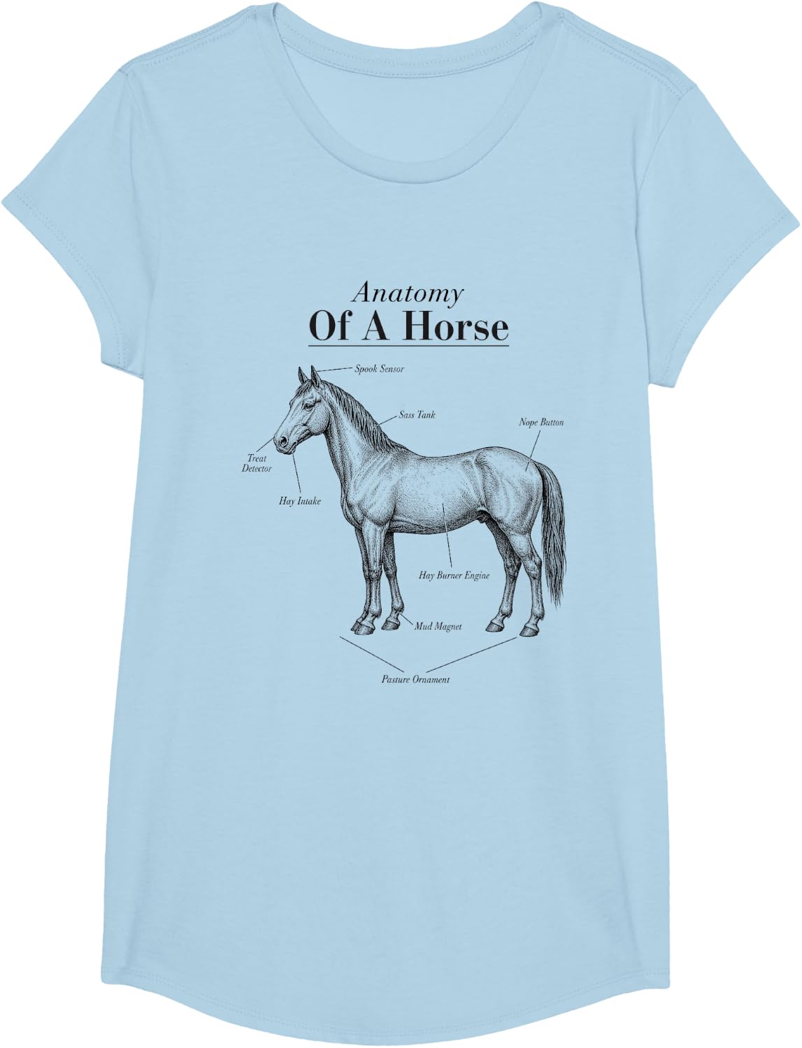 Anatomy of a Horse Funny Horse Lover Equestrian T-Shirt - Girls Baby Blue