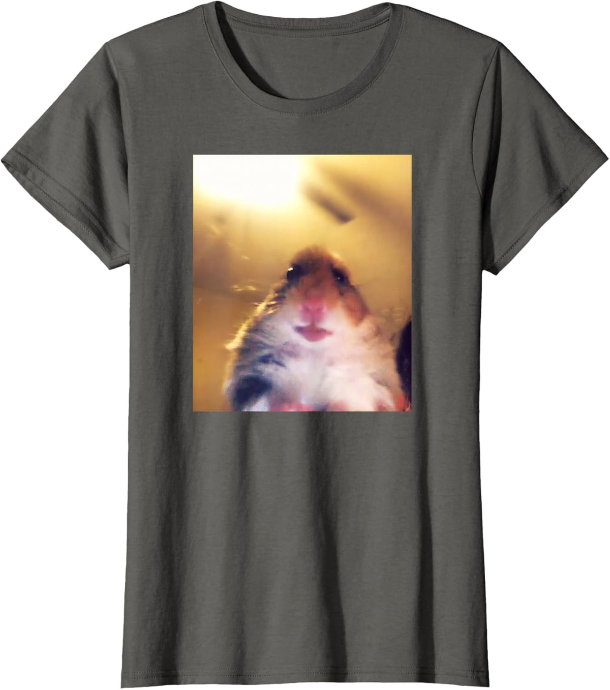 Staring Hamster Meme Front Camera T-Shirt - Asphalt Grey