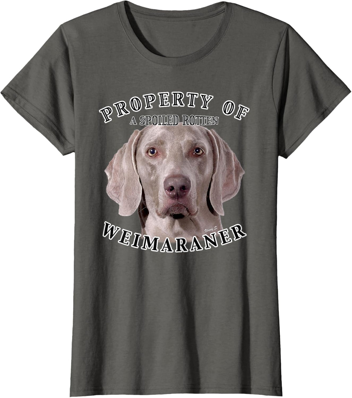 Weimaraner Owner Funny Weimaraner Property Of T-Shirt - Asphalt Grey