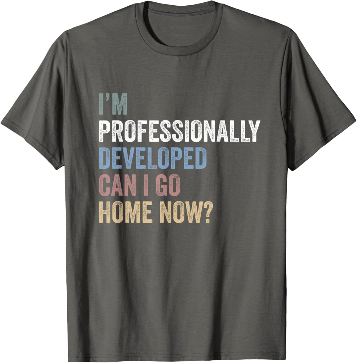 I'm Professionally Developed can I go Home Now T-Shirt - Asphalt Grey