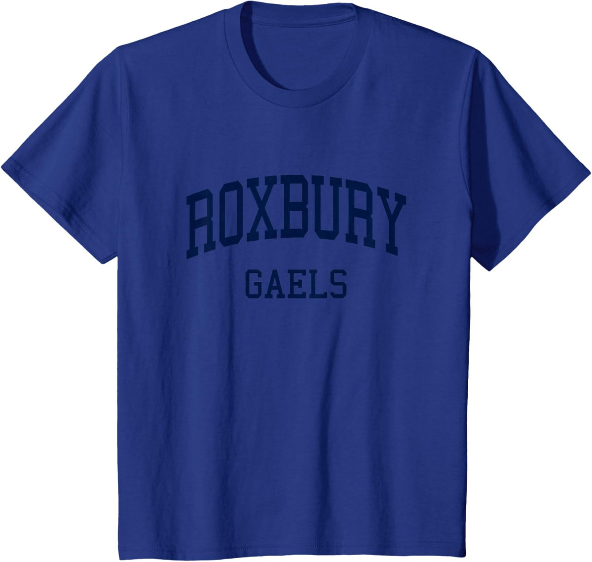 Roxbury High School HS Succasunna NJ Retro T-Shirt - Royal Blue
