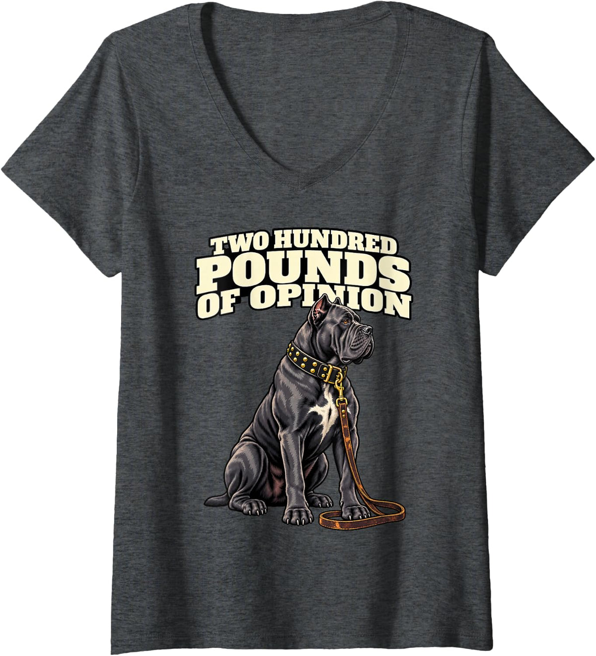 Women's Cane Corso Two Hundred Pounds of Opinion Dog Dad Owner V-Neck T-Shirt - Dark Heather Grey