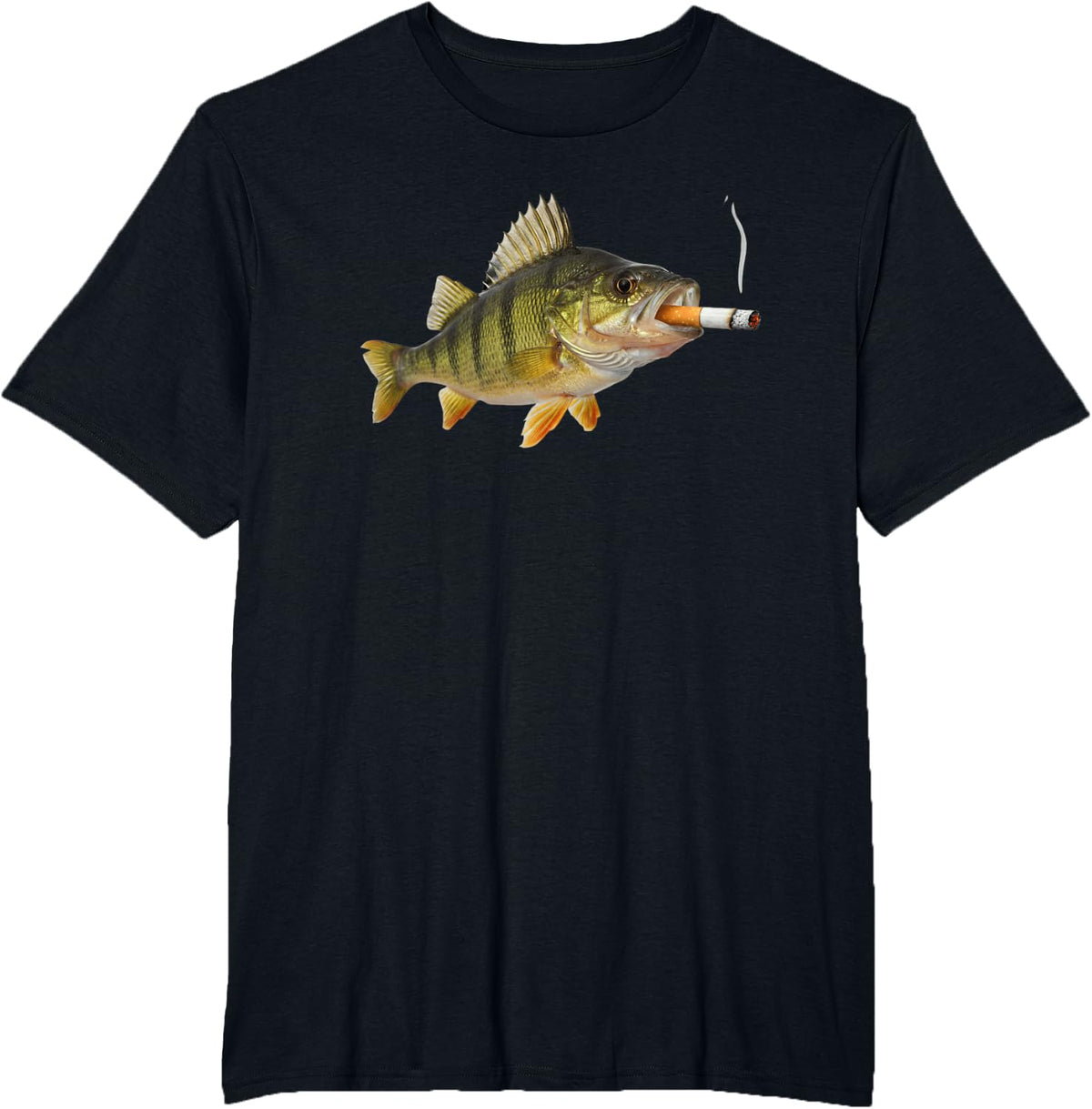 Fish Meme Gen Z Brainrot Sarcasm Fish Smoking Cigarette T-Shirt - Black