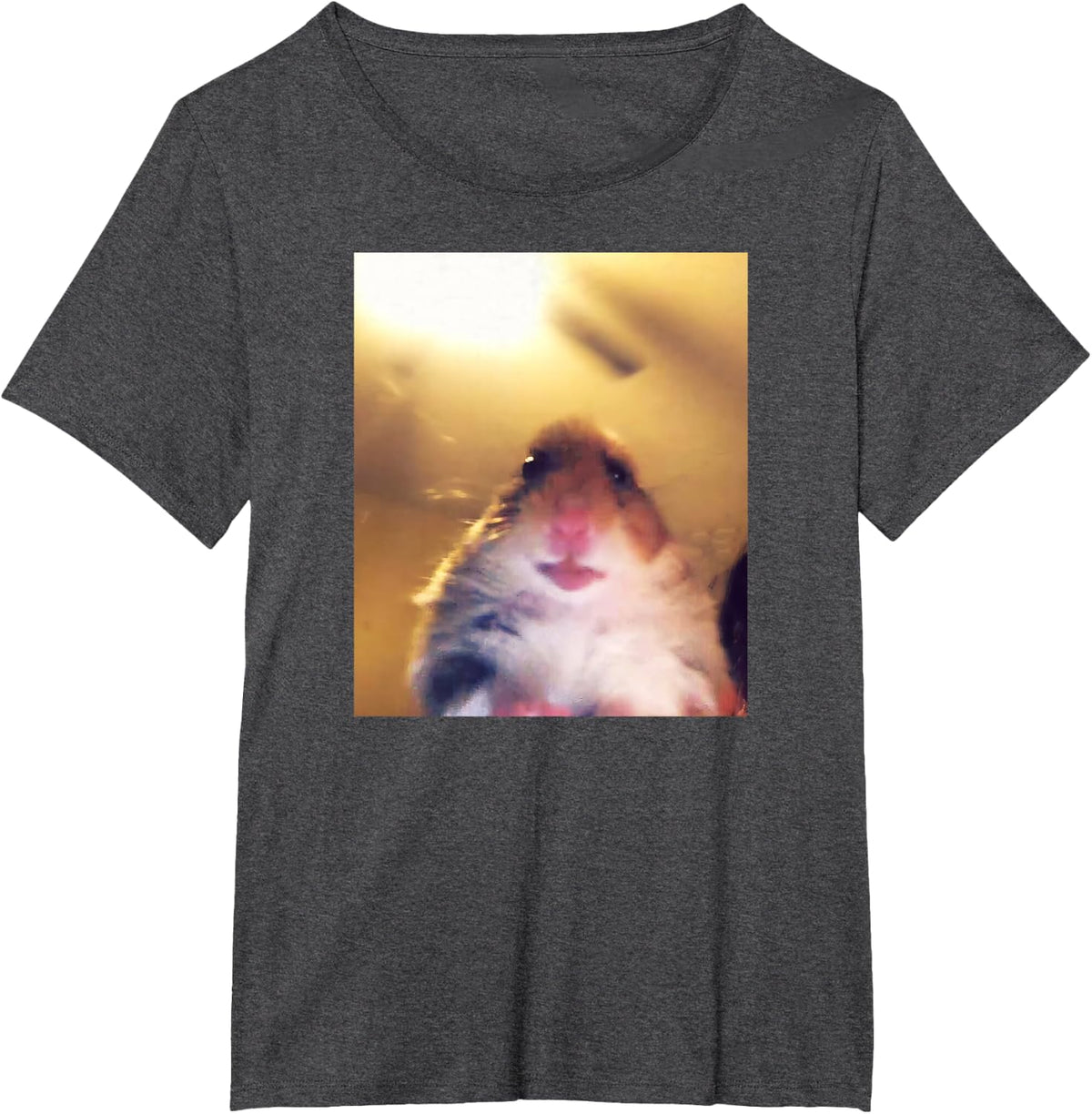 Staring Hamster Meme Front Camera T-Shirt - Dark Heather Grey