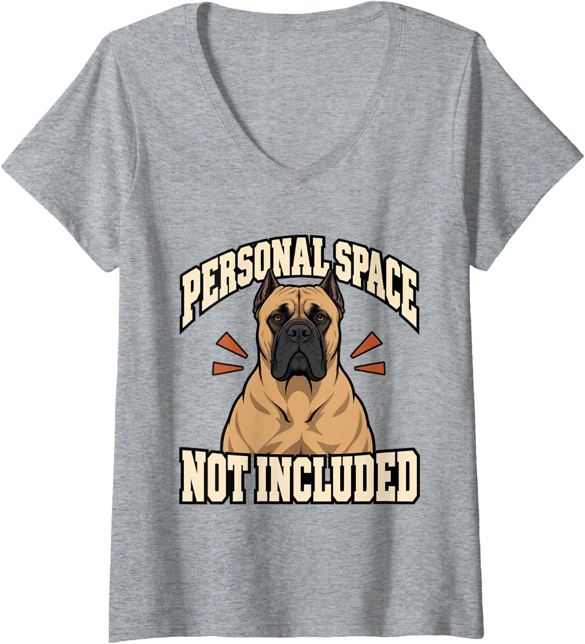 Women's Cane Corso Personal Space Not Included Guard Dog Owner Funny V-Neck T-Shirt - Heather Grey