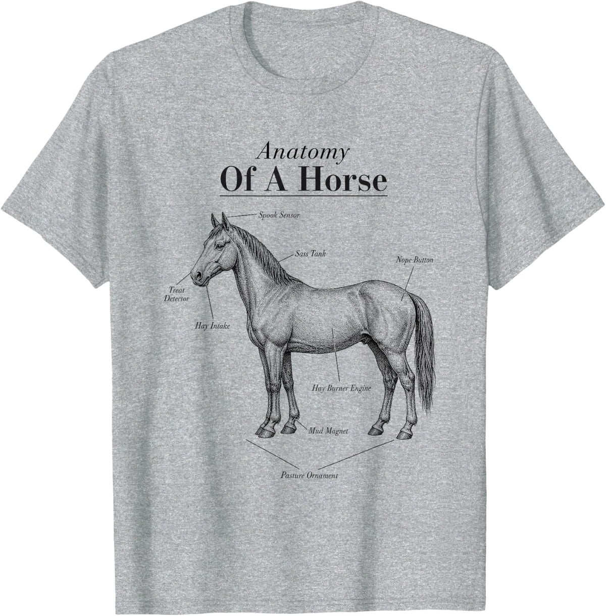 Anatomy of a Horse Funny Horse Lover Equestrian T-Shirt - Heather Grey