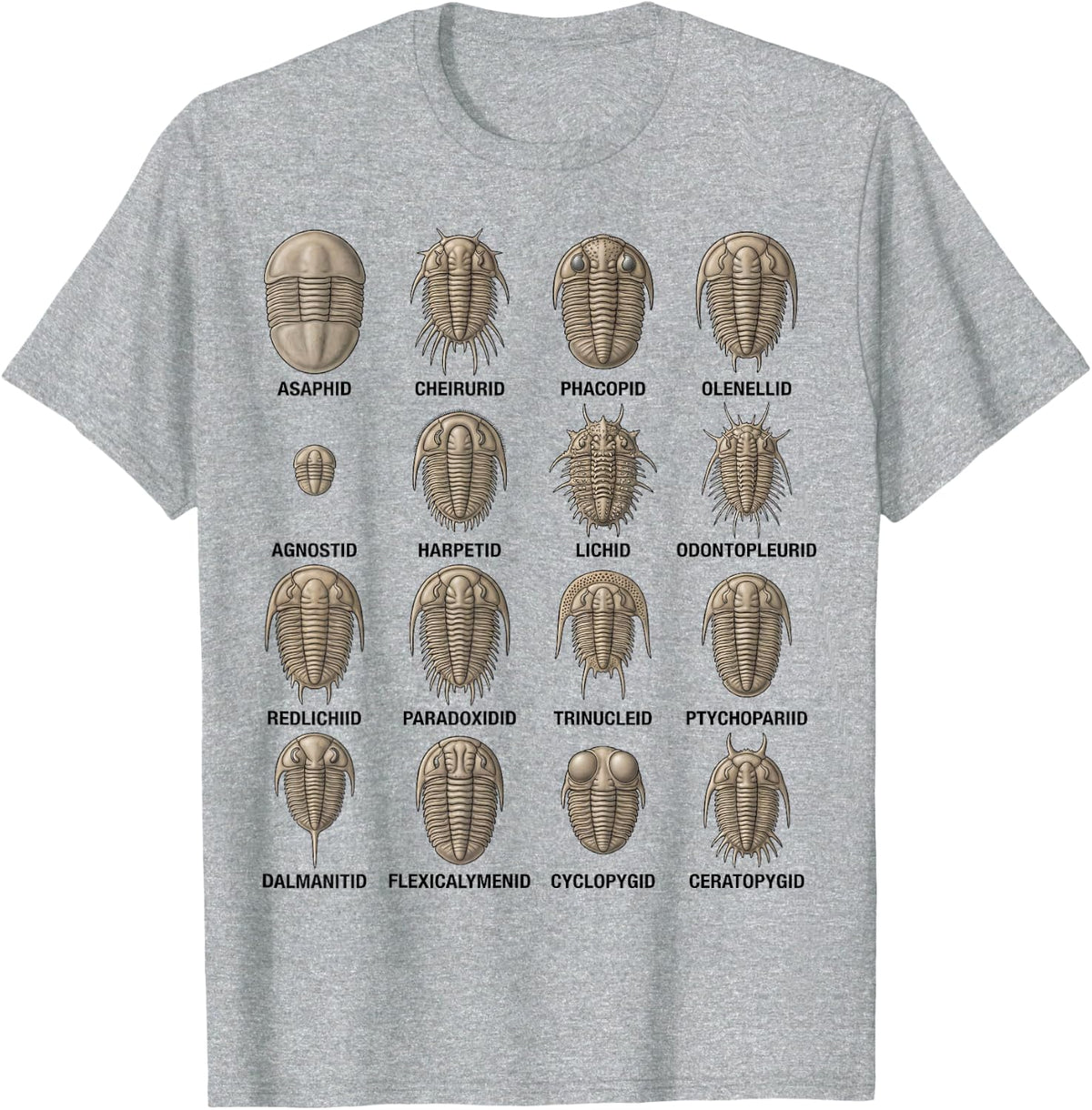 Trilobite Families Chart Paleontology Science Fossil Lovers T-Shirt - Heather Grey